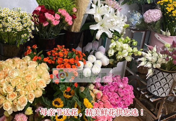 2024新余渝水区母亲节送花,新余渝水区精美鲜花供您选!